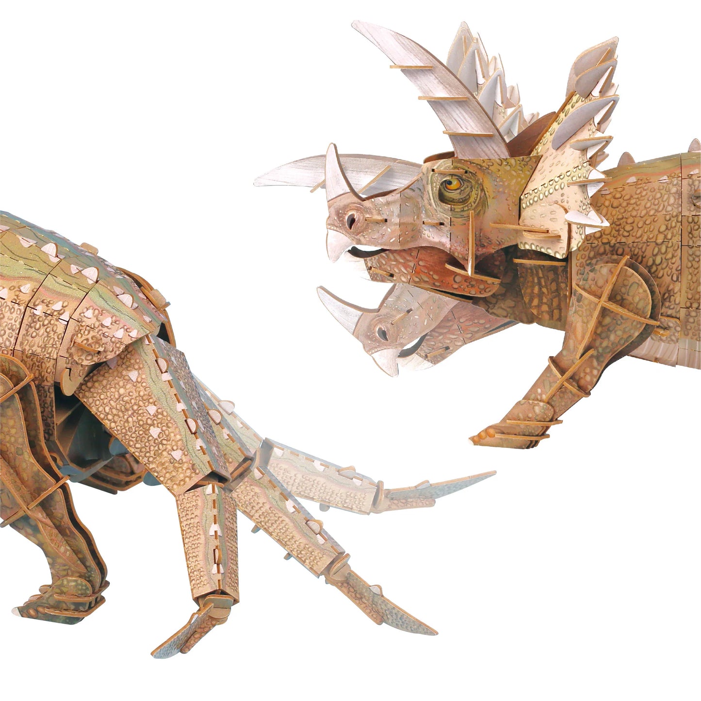 ECO 3D Puzzle - Triceratops