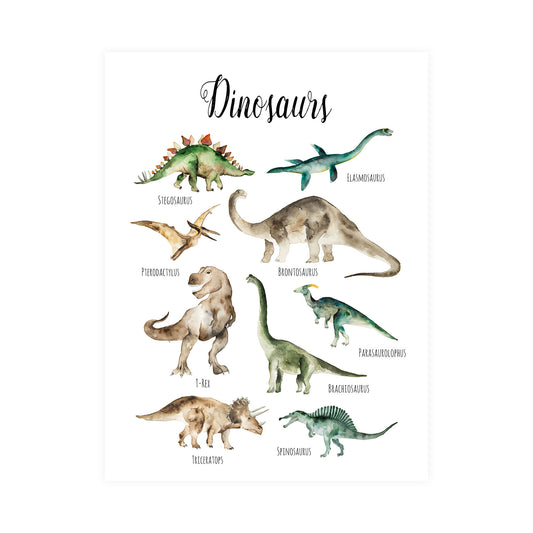 Dinosaur Names Infographic Watercolour Print