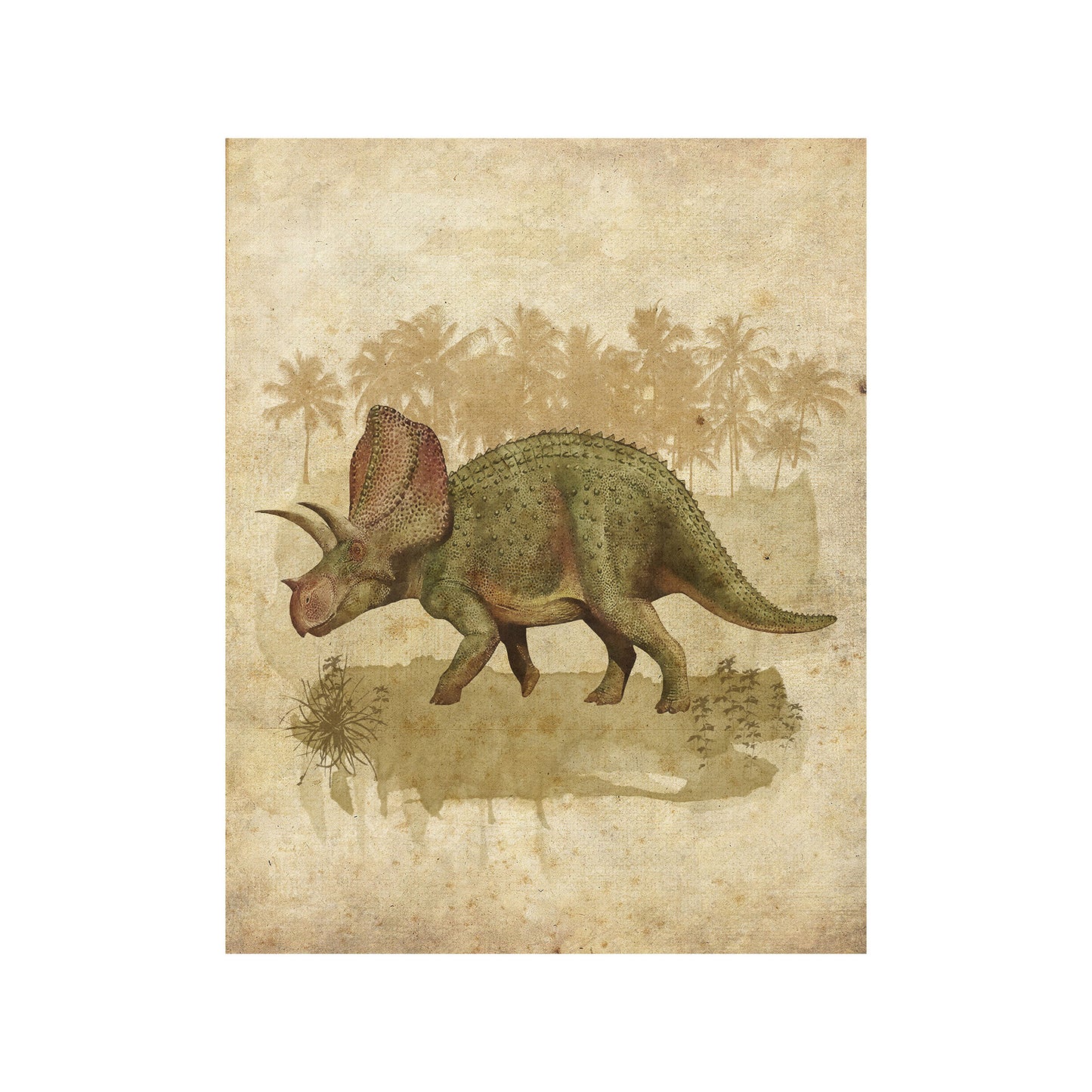 Vintage Triceratops Print